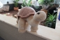 Preview: TORTOISE 30cm hellbraun/braun