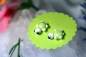 Preview: Glas-Ohrstecker - Schildkröte - aus Muranoglas, grün