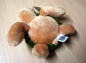 Preview: Sea TURTLE - Recycled Baby Turtle 15cm NEU