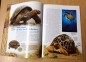 Preview: Entdecke die Schildkröten Kinderbuch - Hans-Dieter Philippen