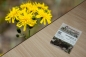 Preview: Wiesen-Pippau 1g  (Crepis biennis)