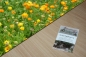 Preview: Garten-Ringelblume 2g  (Calendula officinalis)