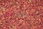 Preview: Rosenblütenblätter, rot 100g