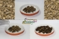 Preview: Esparsettepellets 15g (Portion)