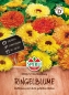 Preview: Ringelblume Sperli’s Viva Mischung - Calendula officinalis