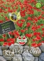 Preview: Klatschmohn SPERLI's Abendfeuer - Papaver rhoeas