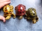 Preview: Indra Colour Tortoise Deko Landschildkröte