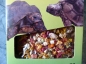 Preview: LuckyReptil Tortoise Candy 70g Leckerbissen für alle Landschildkröten
