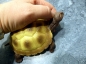 Preview: Tortoise Collection Stretch - Farbe braun/gelb Spielzeug