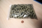 Preview: Testudo Adult Pellets 100g NEU