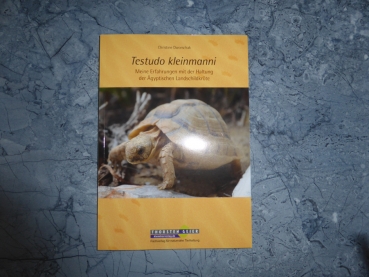 Testudo kleinmanni - Meine Erfahrungen mit der Haltung der Ägyptischen Landschildkröte