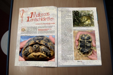 Marginata 58 - Balearen "Land- und Sumpfschildkröten auf den Balearen"