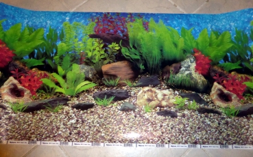 Rückwand "Wasserfall / Aquarienlandschaft" (120cm, Höhe 50cm)