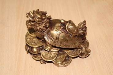 Drachenschildkröte Gold mit Münzen