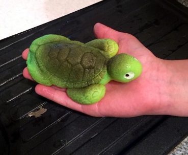 TURTLE EGG - Growing Turtle