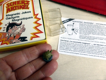 Nostalgie Spielzeug MAGNET Krabbeltiere Schildkröte