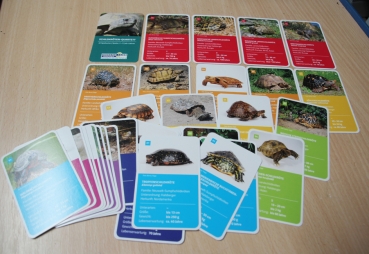 Schildkröten Quartett 32 Karten