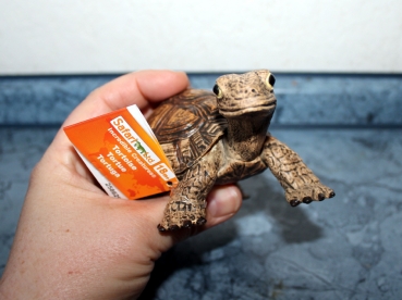 SAFARI Landschildkröte Figur
