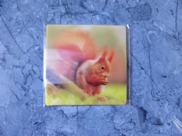 Magnetic Squirrel - Gruppe M - kleines Eichhörnchen 3D Magnet