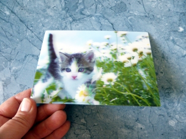 Postkarte 3D Karte Flower Kitten (Blume und Katzenkinder)