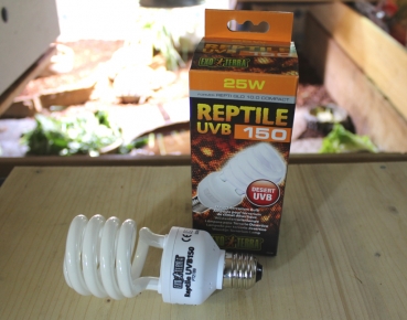 Reptile UVB 150 25 Watt, Exoterra UV-Lampe
