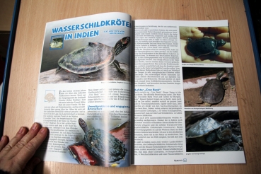 Marginata Nr. 45 Die Schildkröten des Indischen Subkontinents