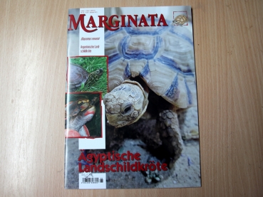 Marginata 65 - Ägyptische Landschildkröte NEU