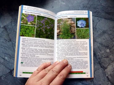 Landschildkröten-Futterpflanzen Ricarda Schramm 3. Auflage