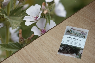 Echter Eibisch 2g  (Althaea officinalis)