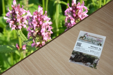 Heilziest 1g  (Betonica officinalis)