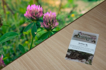 Rotklee 5g  (Trifolium pratense)