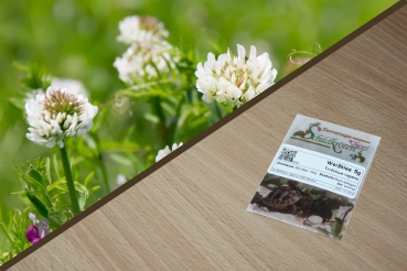 Weißklee 5g   (Trifolium repens)