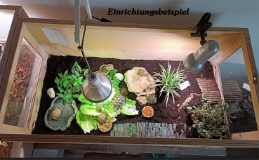 Terratuga Aufzucht Landschildkröten Terrarium Größe ca.100x50x40 cm