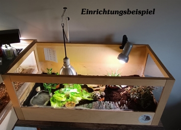 Terratuga Aufzucht Landschildkröten Terrarium Größe 80x45x40cm