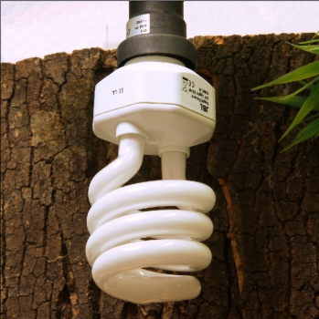 JBL ReptilDesert UV Light 15W - Energiesparlampe für Wüstenterrarien