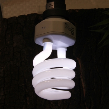 JBL ReptilDesert UV Light 15W - Energiesparlampe für Wüstenterrarien