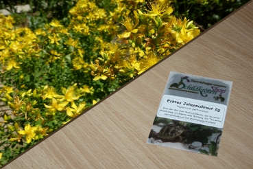 Echtes Johanniskraut 2g  (Hypericum perforatum)