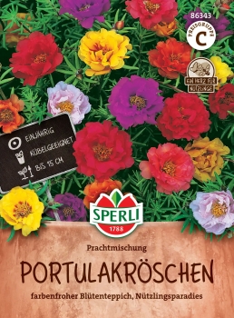 Portulakröschen Prachtmischung - Portulaca grandiflora