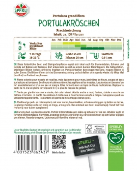 Portulakröschen Prachtmischung - Portulaca grandiflora