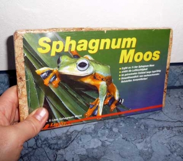Lucky Reptile - Sphagnum Moss Ziegel 100g