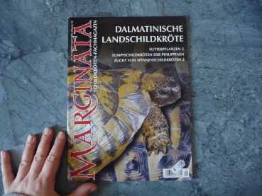 Marginata 10 - Dalmatinische Landschildkröte