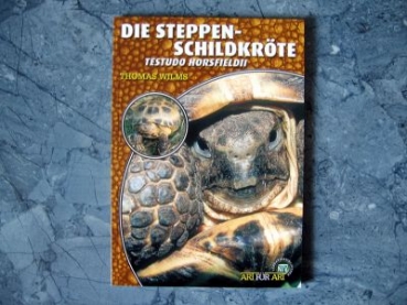 Die Steppenschildkröten Testudo horsfildii NTV Verlag