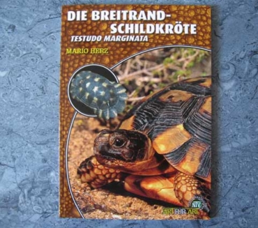 Die Breitrandschildkröte Testudo marginata NTV-Verlag