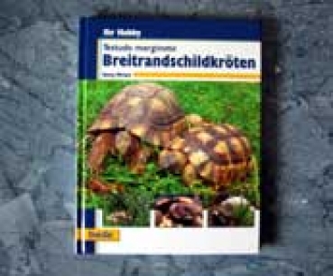 Ihr Hobby Breitrandschildkröten (Georg Mirlach)