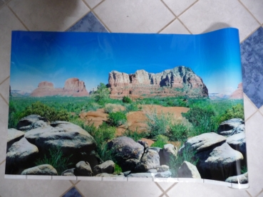 Rückwand "Red Canyon / Regenwald" (10cm, Höhe 50cm)