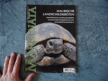 Marginata 18 - Maurische Landschildkröten (Testudo greca)