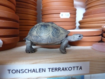 Riesenschildkröte von Schleich