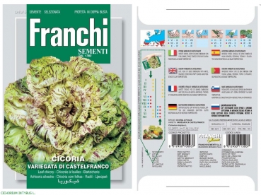D40/5 Franchi - Cicoria Variegata di castelfranco Orchideensalat gefleckt