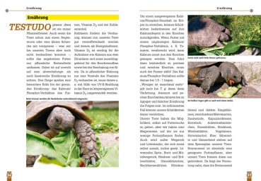 Die Iberische Landschildkröte NTV-Verlag Buch