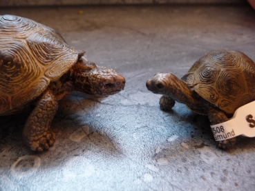 Riesenschildkrötenjunges Schleich